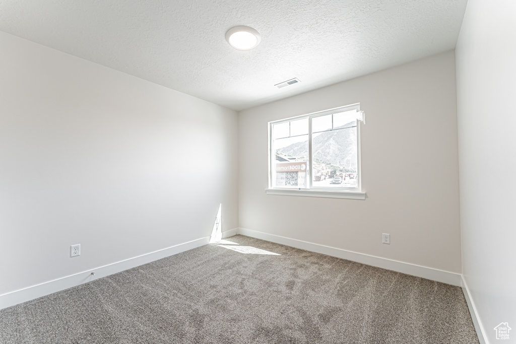 Spare room with carpet floors and a textured ceiling