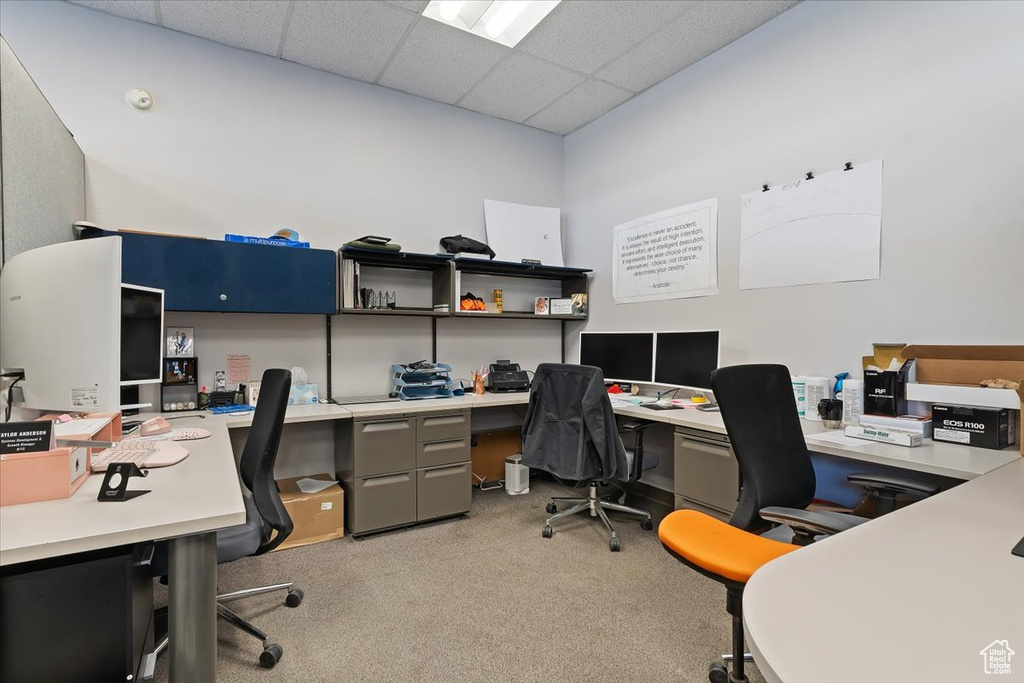 Office featuring a paneled ceiling and light colored carpet