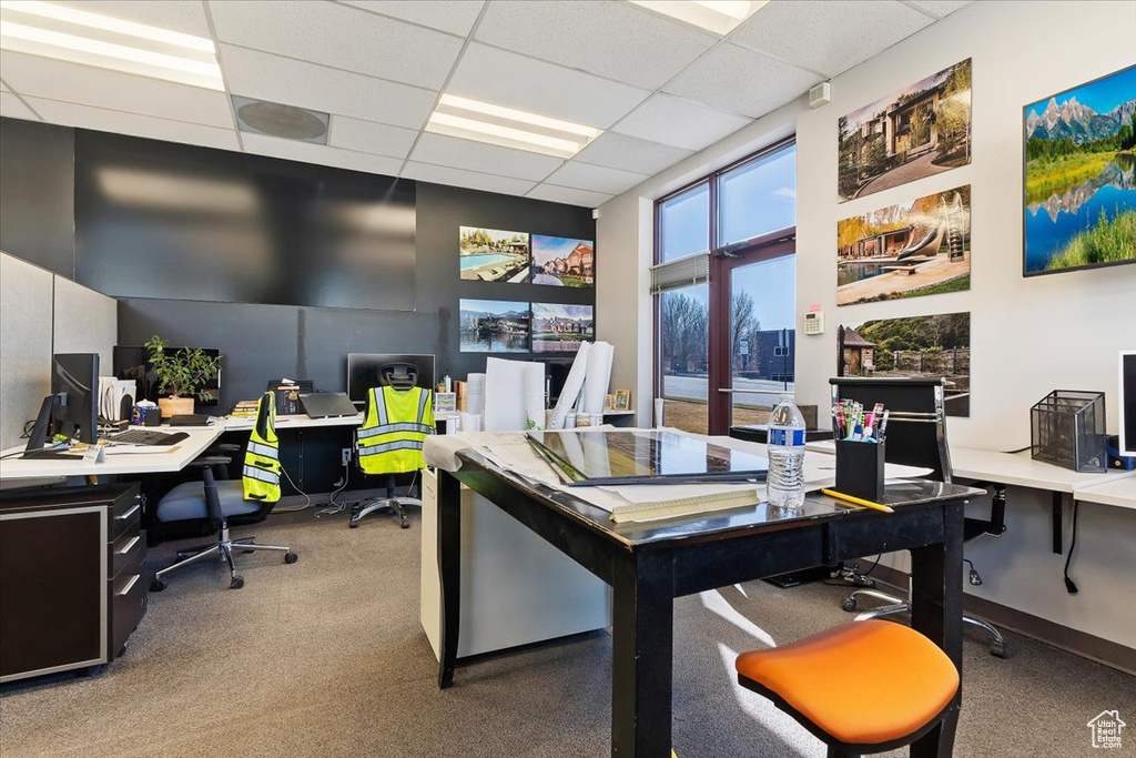 Home office featuring carpet and a drop ceiling