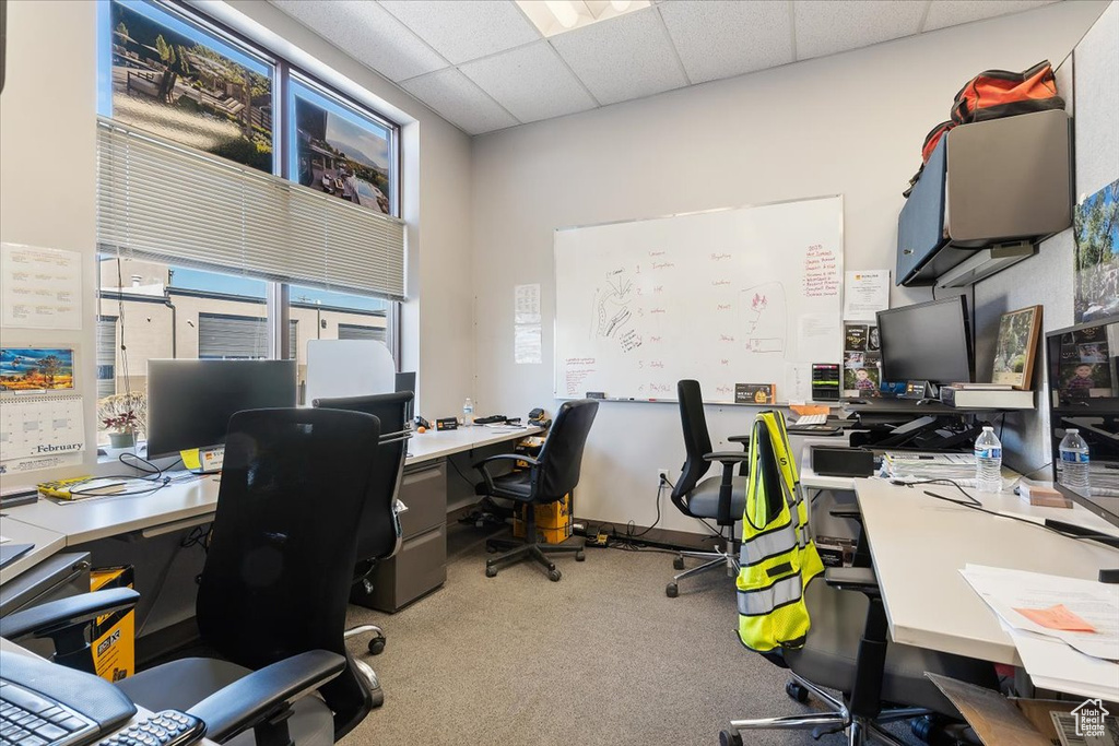 Carpeted office space with a drop ceiling