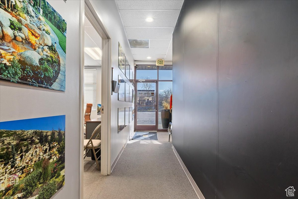 Hallway with carpet, baseboards, and a drop ceiling