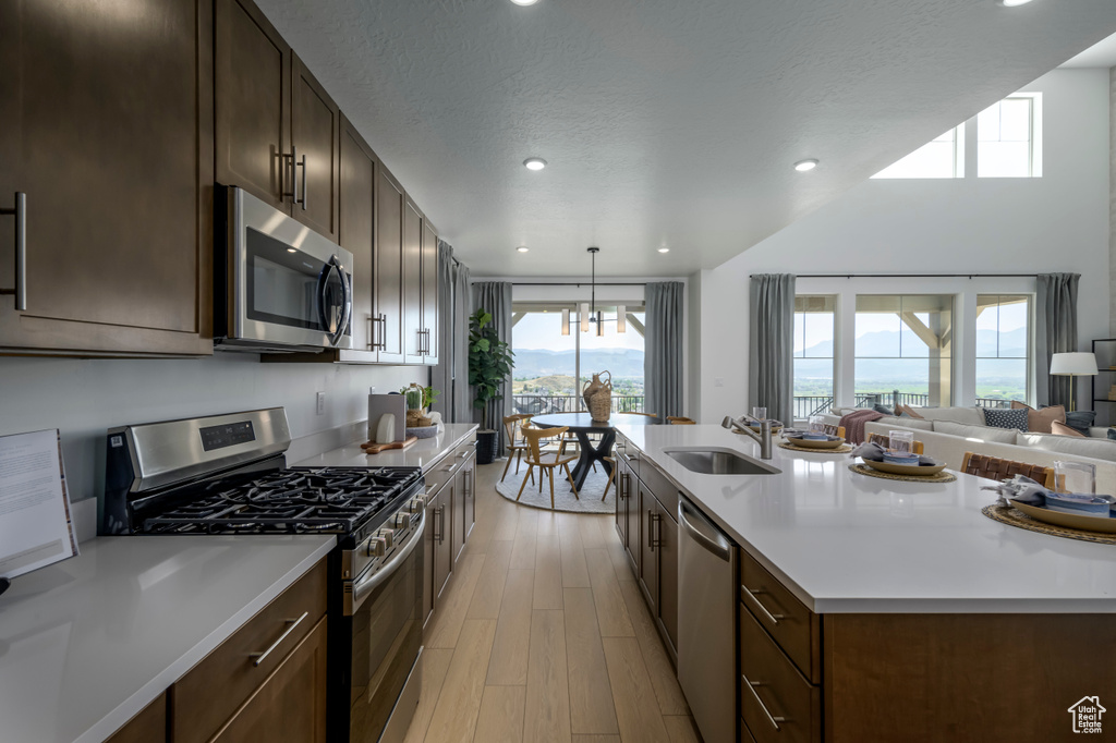 Kitchen with light wood finished floors, a sink, light countertops, appliances with stainless steel finishes, and open floor plan
