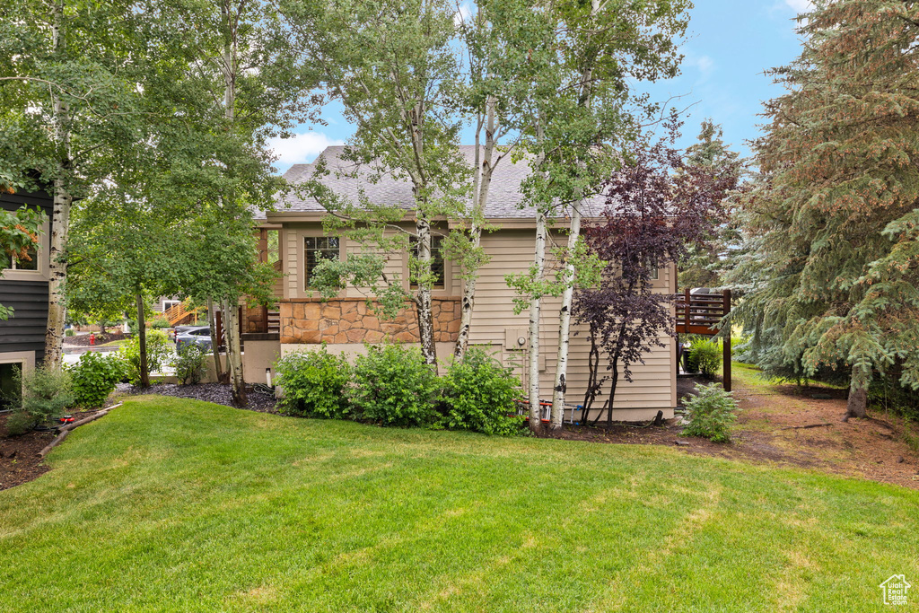 Rear view of house with a yard, roof with shingles, and stone siding