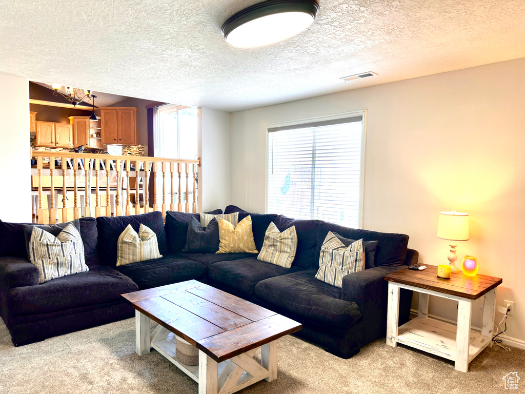 Carpeted living area with baseboards, visible vents, and a textured ceiling