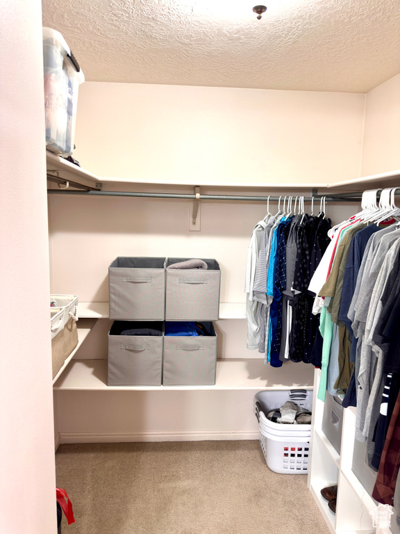 Spacious closet with carpet