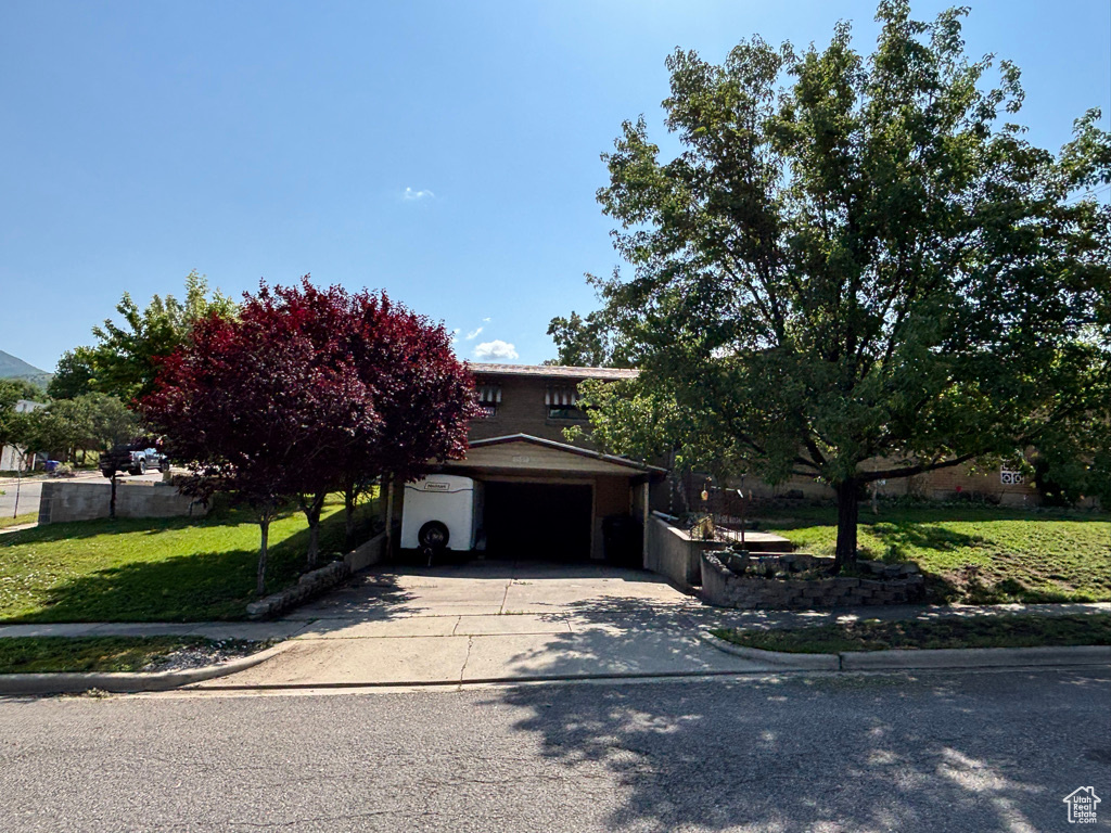 View of property hidden behind natural elements featuring a garage and driveway