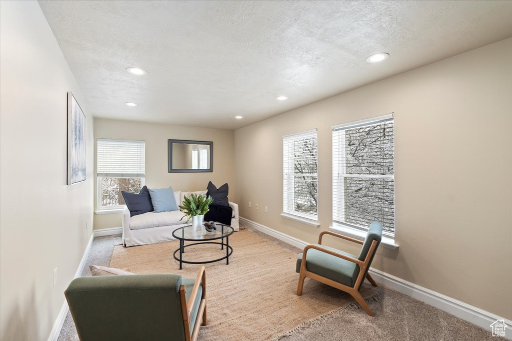 Living area featuring baseboards and a textured ceiling