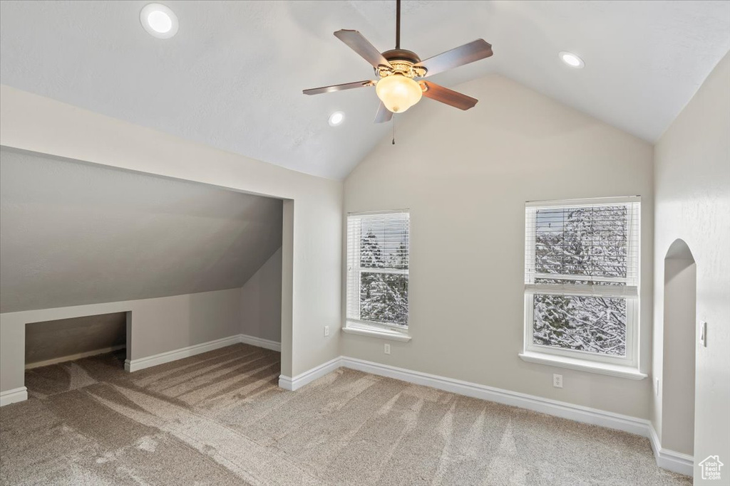 Additional living space with baseboards, carpet floors, and lofted ceiling
