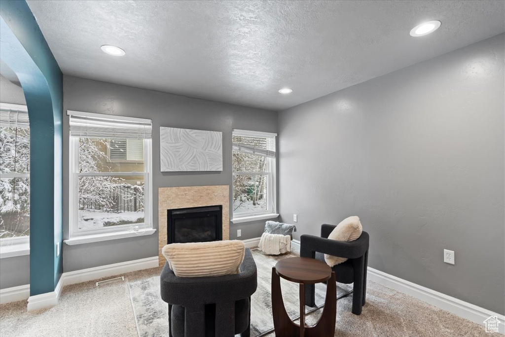 Carpeted office space featuring baseboards, a textured ceiling, and a fireplace