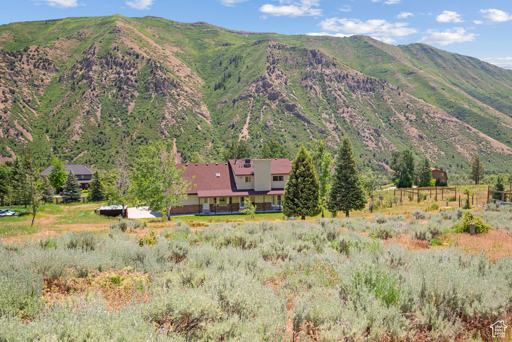 View of mountain background