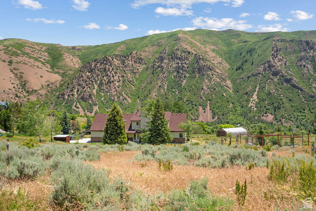 Mountain view
