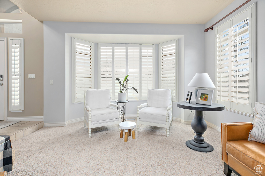 Sitting room with carpet, baseboards, and a wealth of natural light