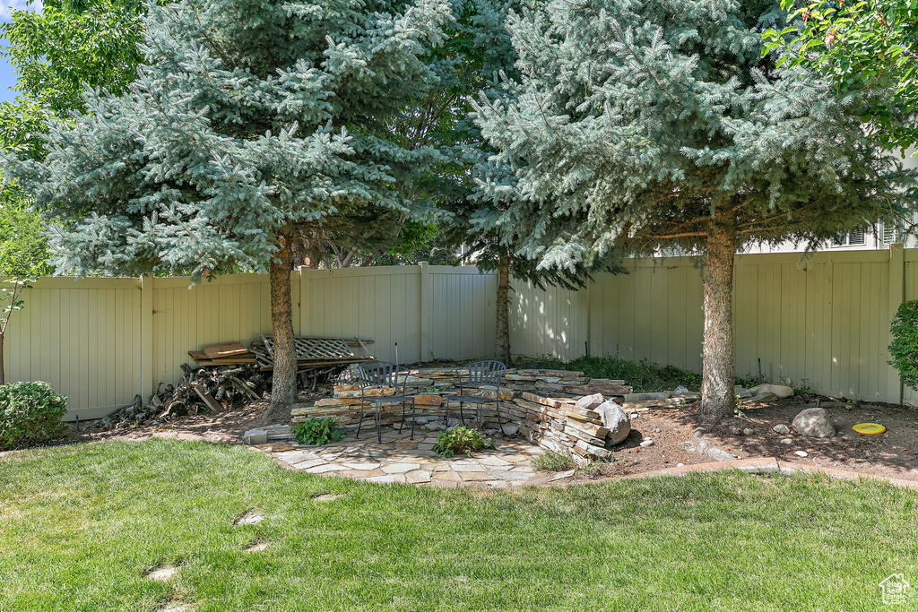 View of yard with a patio area and a fenced backyard