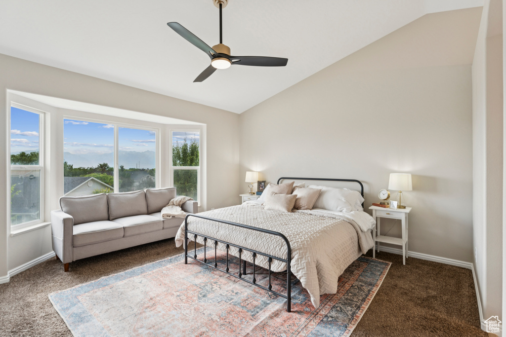 Carpeted bedroom with lofted ceiling and a ceiling fan