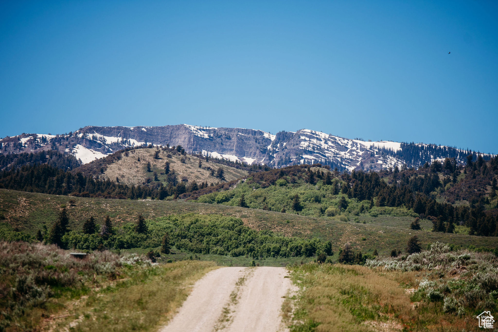 Mountain view