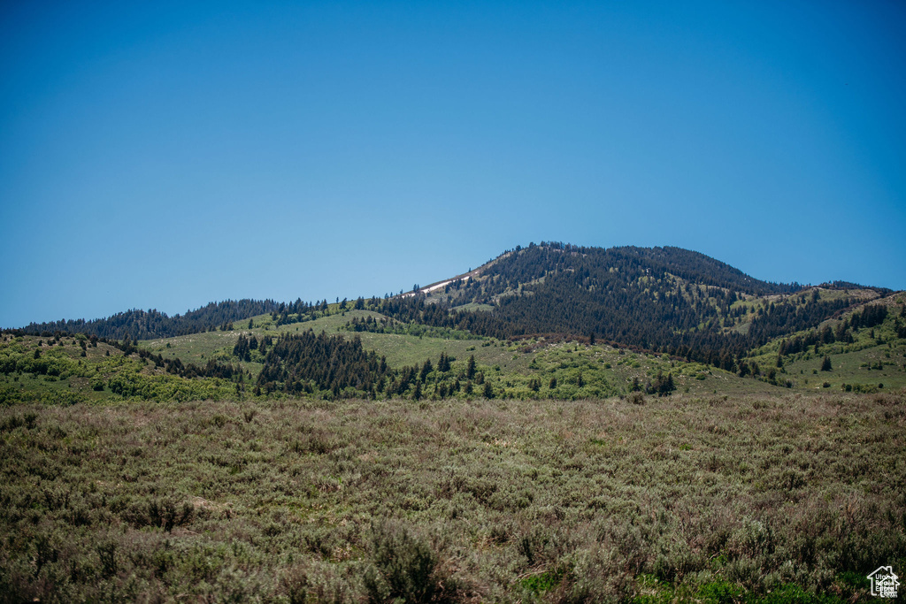Property view of mountains