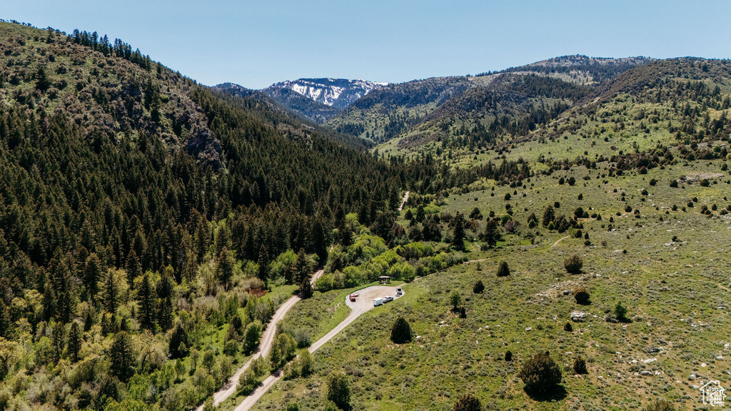 Property view of mountains featuring a forest view