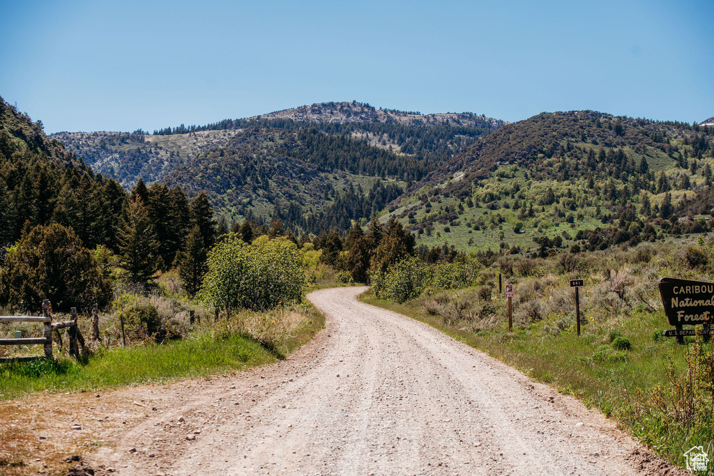 View of mountain feature featuring a view of trees