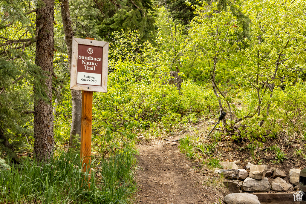 Exterior view of a heavily wooded area