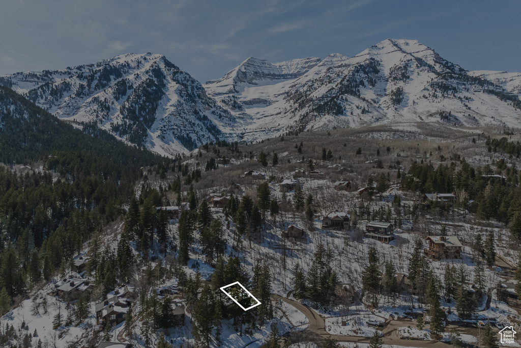 Mountain view
