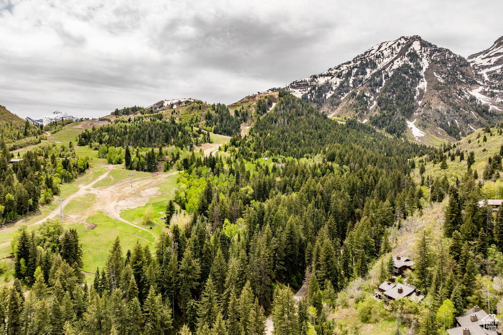 Mountain view