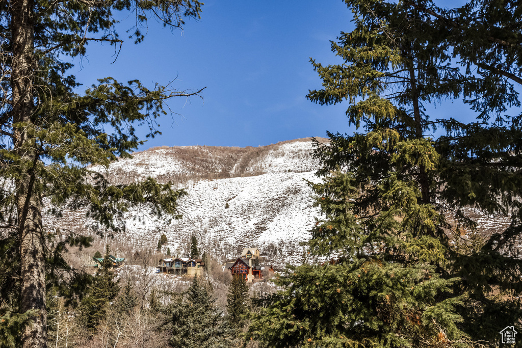Mountain view