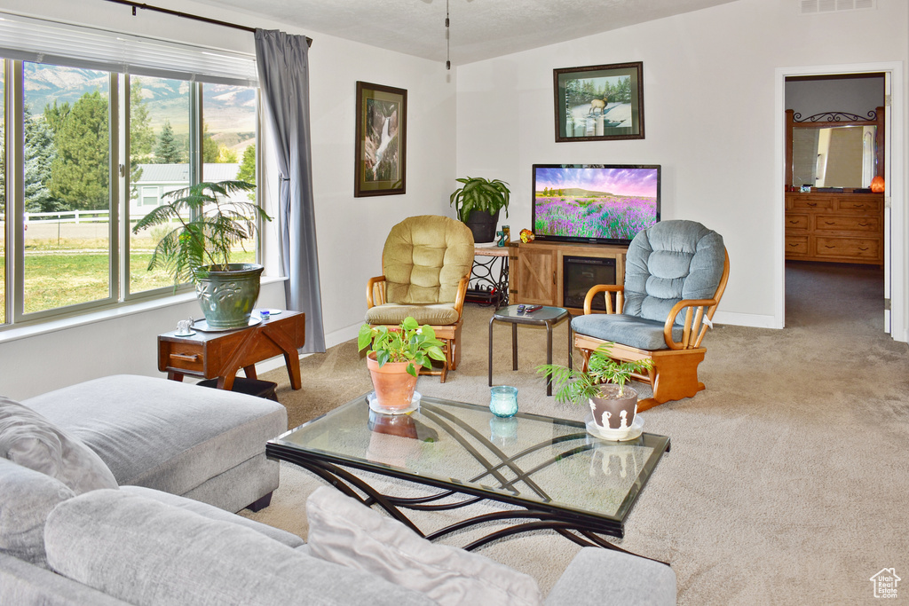 Carpeted living area featuring visible vents and baseboards