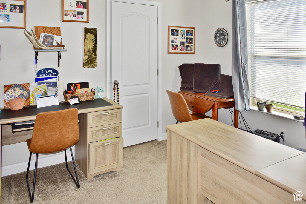 Office featuring light carpet