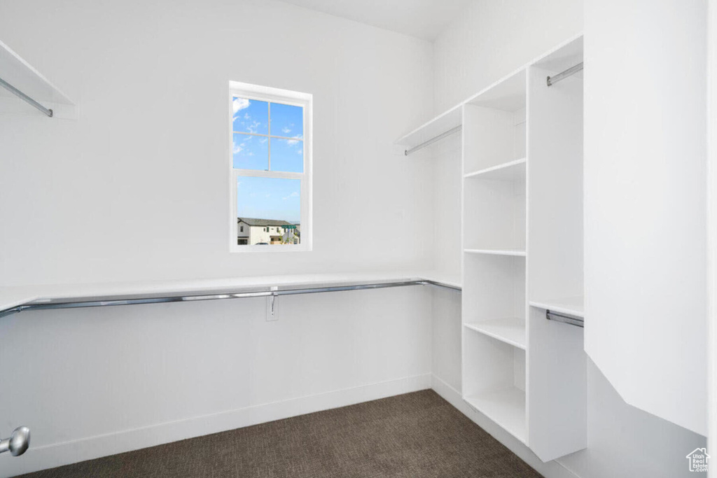 Spacious closet with dark carpet