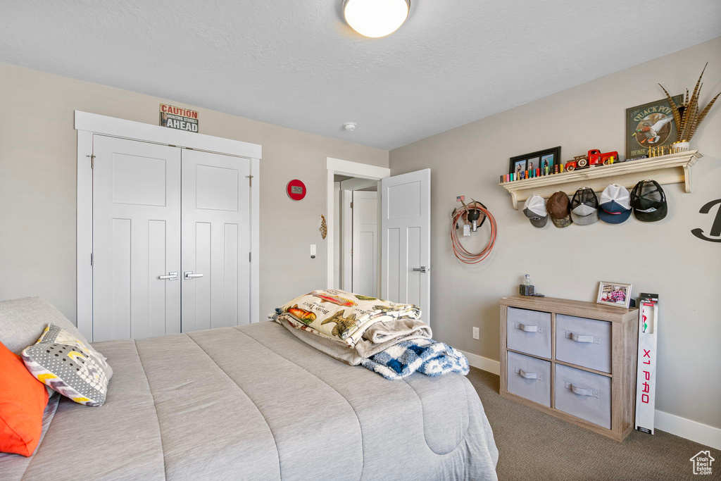Carpeted bedroom with a closet and baseboards