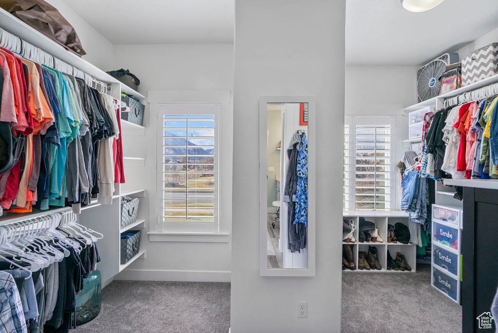 Spacious closet featuring carpet