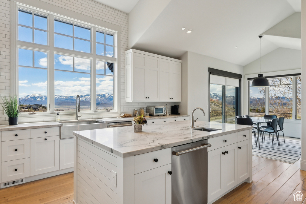 Kitchen with stainless steel dishwasher, a wealth of natural light, and a sink