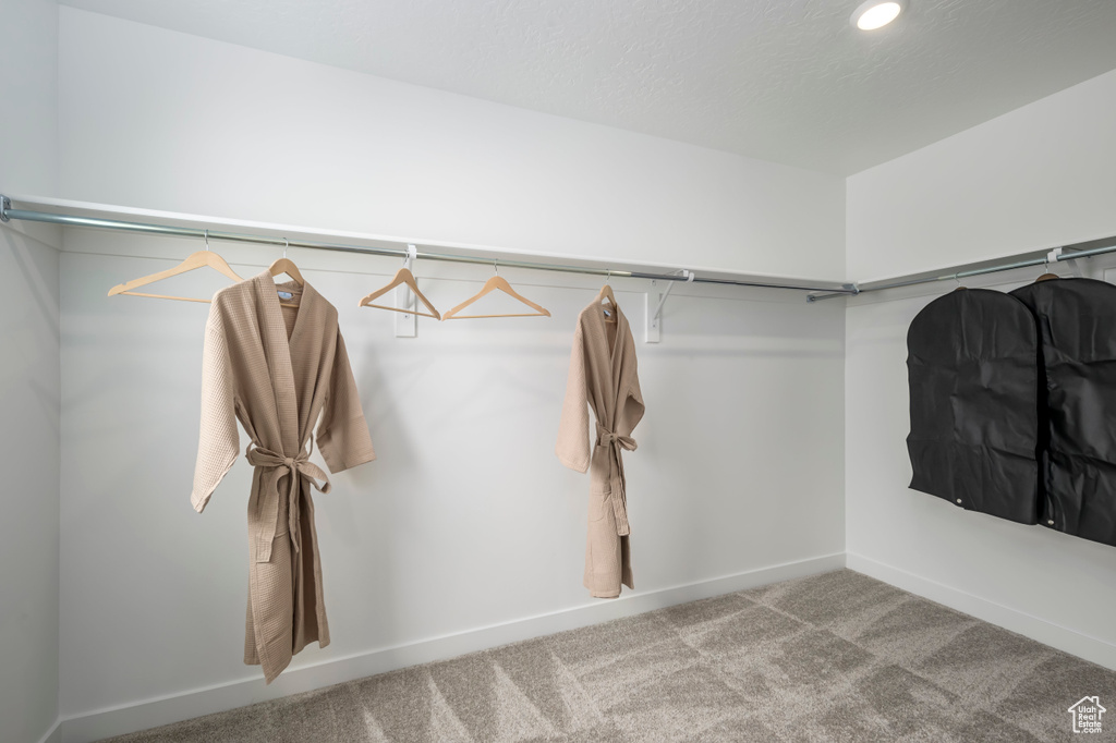 Walk in closet with carpet flooring