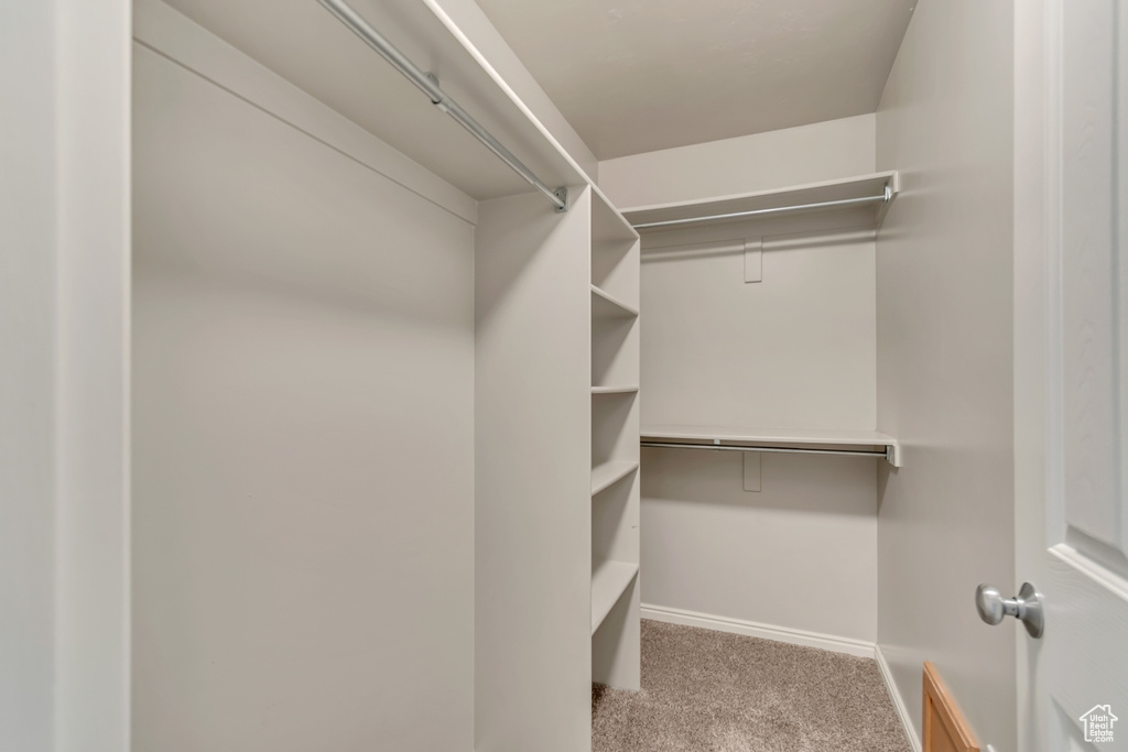 Walk in closet with carpet