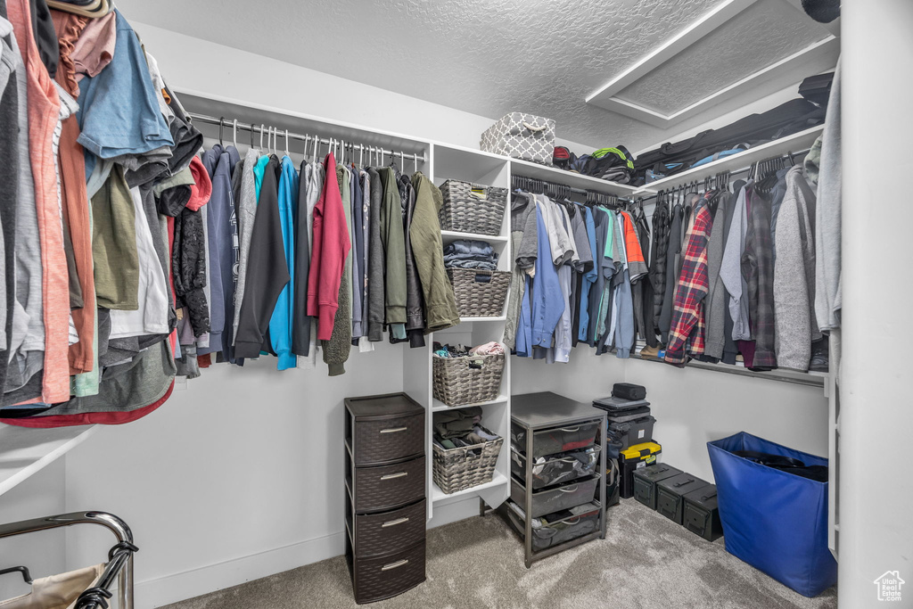 Spacious closet with carpet and attic access