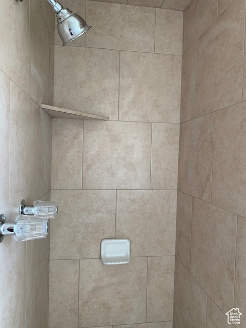 Room details with tiled shower