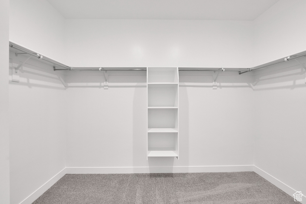 Spacious closet with carpet