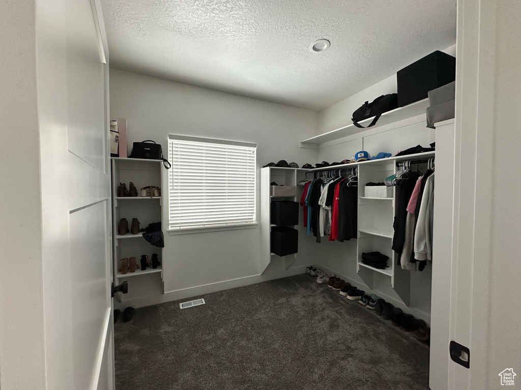 Spacious closet featuring visible vents and carpet