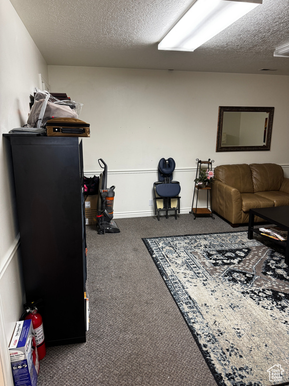 Living area featuring carpet, baseboards, and a textured ceiling