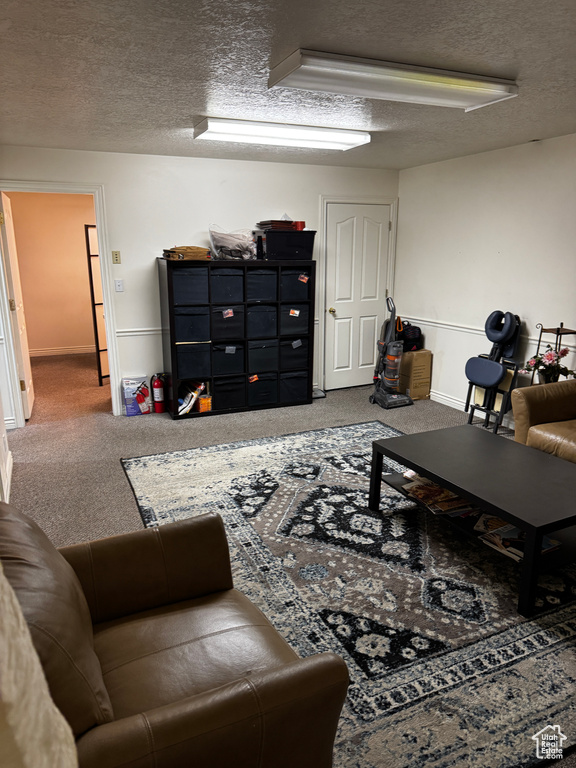 Living area with a textured ceiling, baseboards, and carpet floors