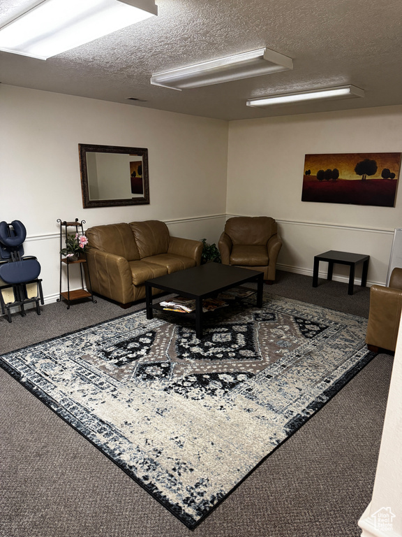 Living room featuring baseboards, carpet floors, and a textured ceiling