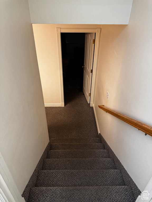 Stairway with baseboards and carpet