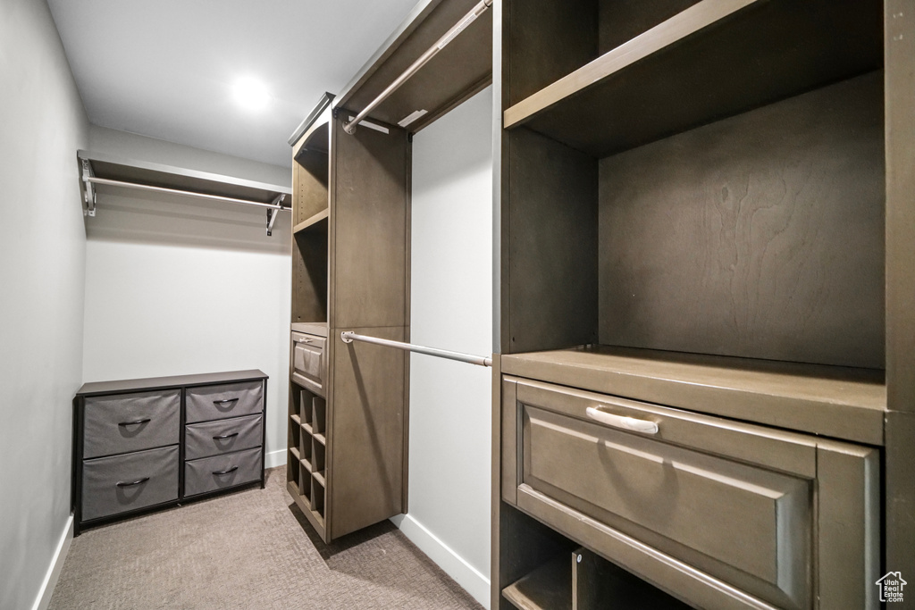 Spacious closet with light carpet
