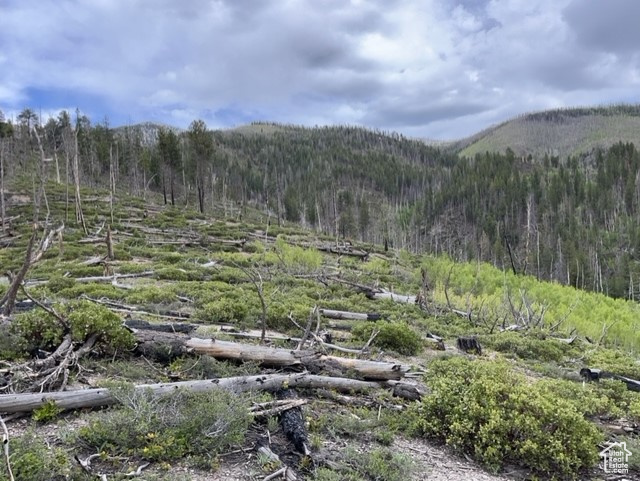 Property view of mountains featuring a wooded view