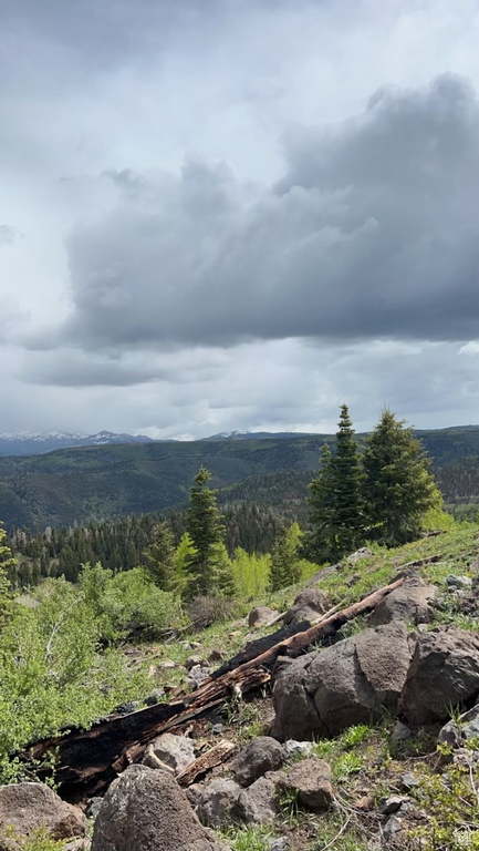 Property view of mountains featuring a forest view