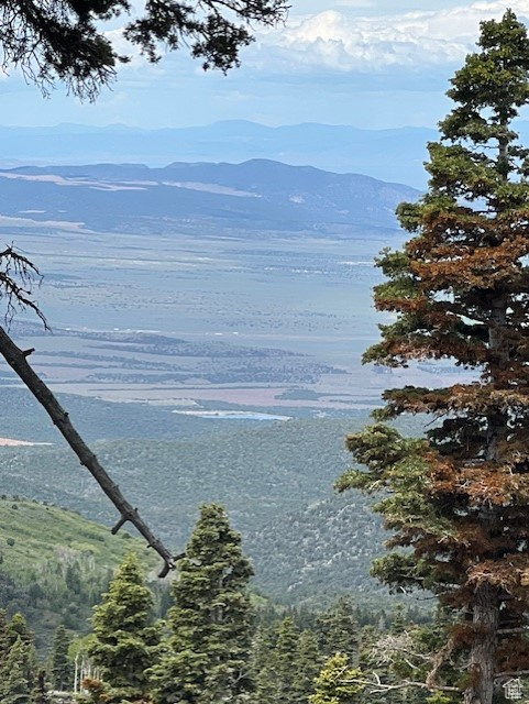 Property view of water featuring a mountain view