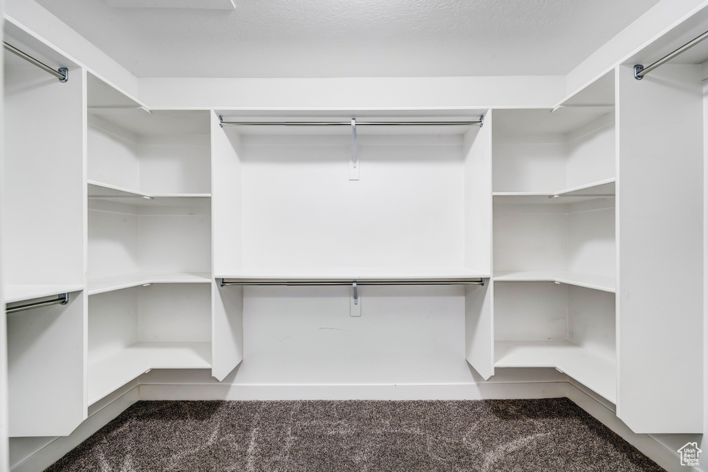Spacious closet with carpet floors