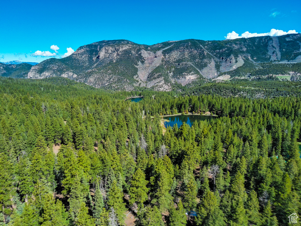 Property view of mountains with a view of trees and a water view
