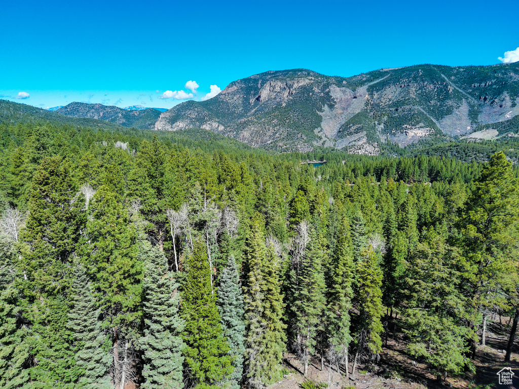 Property view of mountains with a forest view