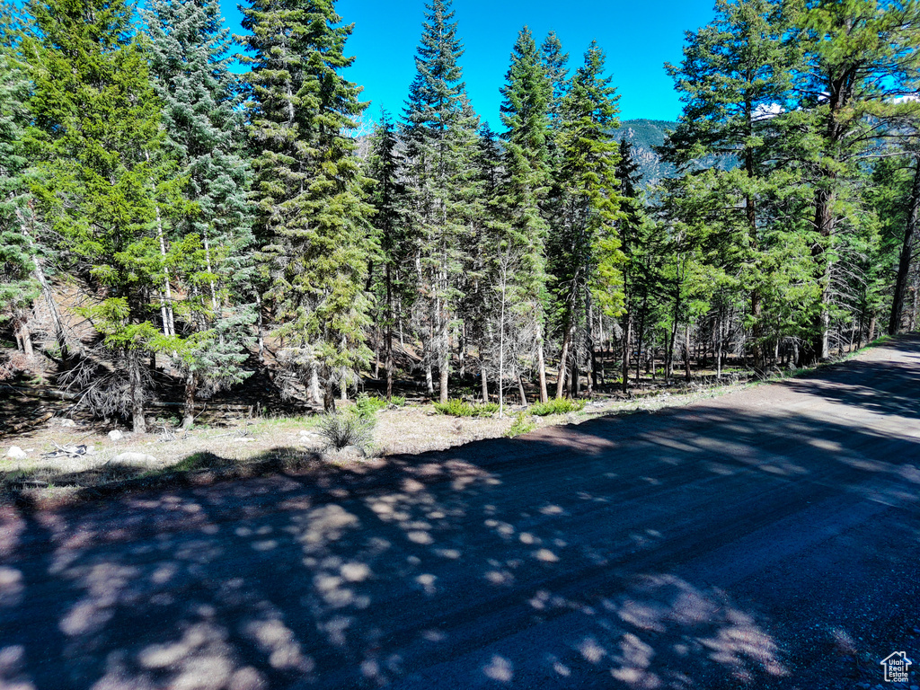View of road featuring a view of trees